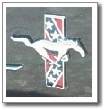Its a Southern Stang