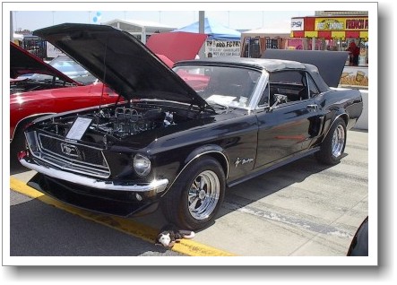 Thunderbolt Mustang Chris had come into driving age in the 1980's when