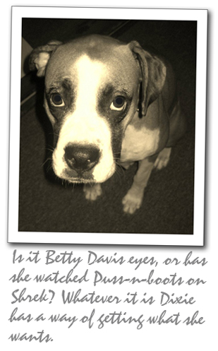 Don't look into her eyes!