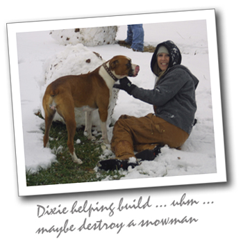 Dixie in the snow