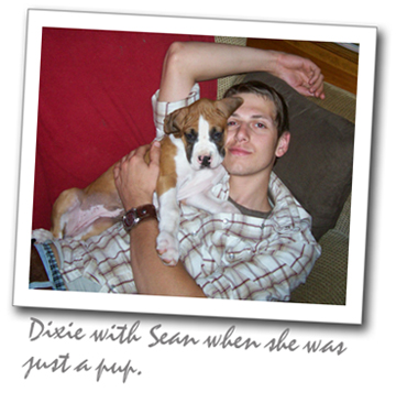 Dixie as a pup