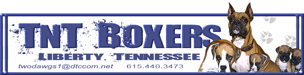 TnT Boxers, Liberty, Tennessee