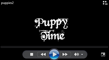 Puppy Time
